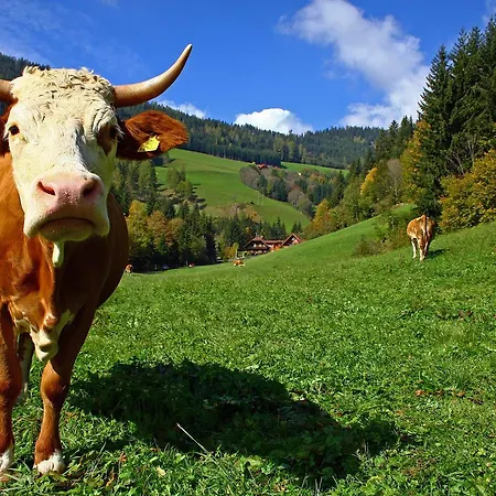 Bodnerhof *
