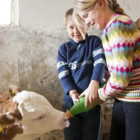 Bodnerhof בית חווה *