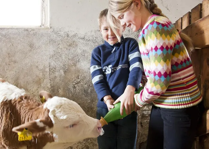 Bodnerhof Agroturismo *